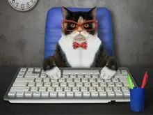 SC-020: the original Stockcat