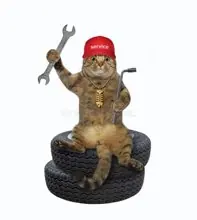 SC-025: the original Stockcat