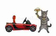 SC-032: the original Stockcat