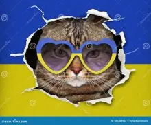 SC-056: the original Stockcat