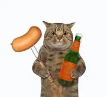 SC-063: the original Stockcat
