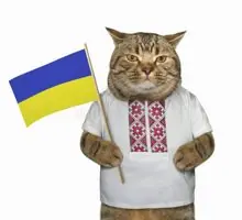 SC-064: the original Stockcat