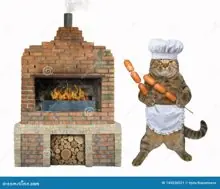 SC-072: the original Stockcat