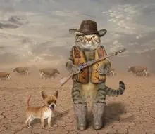 SC-090: the original Stockcat