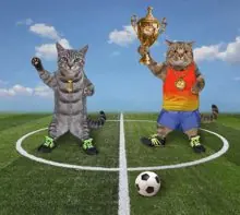 SC-098: the original Stockcat