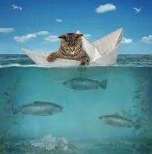 SC-107: the original Stockcat