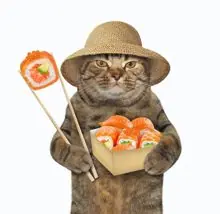 SC-119: the original Stockcat