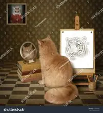 SC-122: the original Stockcat