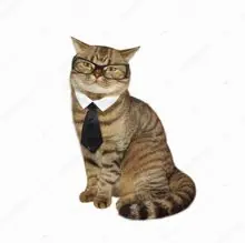 SC-132: the original Stockcat