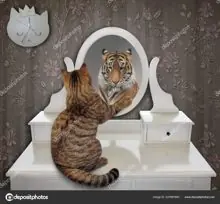 SC-133: the original Stockcat