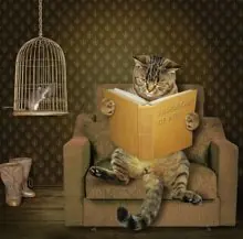 SC-134: the original Stockcat