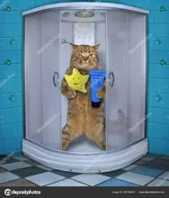 SC-141: the original Stockcat