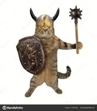 SC-142: the original Stockcat