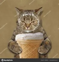 SC-143: the original Stockcat