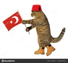 SC-144: the original Stockcat