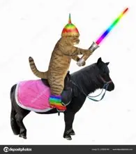SC-145: the original Stockcat