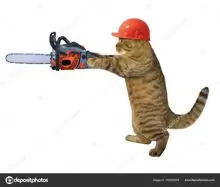 SC-146: the original Stockcat