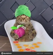 SC-148: the original Stockcat
