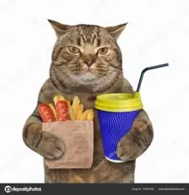 SC-149: the original Stockcat