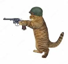 SC-154: the original Stockcat