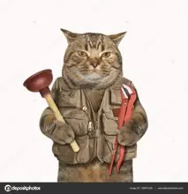 SC-164: the original Stockcat