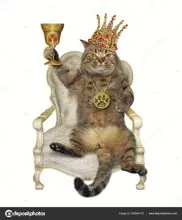 SC-165: the original Stockcat