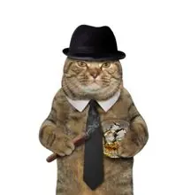 SC-167: the original Stockcat