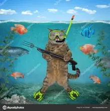 SC-170: the original Stockcat