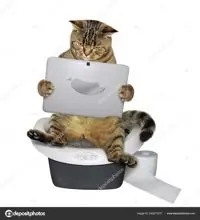 SC-176: the original Stockcat