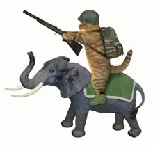 SC-182: the original Stockcat