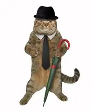 SC-183: the original Stockcat