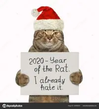 SC-195: the original Stockcat