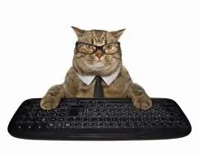 SC-198: the original Stockcat