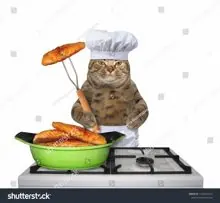 SC-201: the original Stockcat