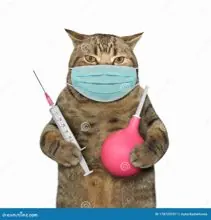 SC-214: the original Stockcat