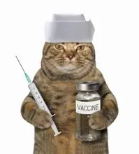 SC-215: the original Stockcat