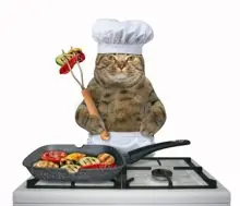 SC-217: the original Stockcat