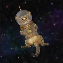 SC-226: the original Stockcat