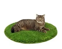 SC-239: the original Stockcat