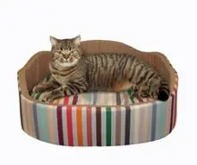 SC-240: the original Stockcat