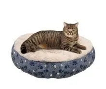 SC-241: the original Stockcat