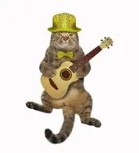 SC-243: the original Stockcat