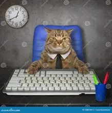 SC-248: the original Stockcat