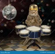SC-250: the original Stockcat