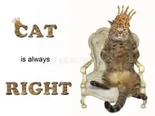SC-253: the original Stockcat