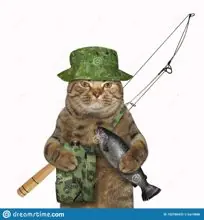 SC-263: the original Stockcat