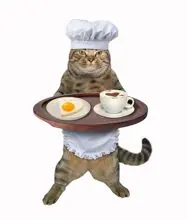 SC-284: the original Stockcat