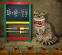 SC-289: the original Stockcat