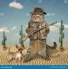 SC-294: the original Stockcat