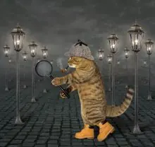 SC-297: the original Stockcat